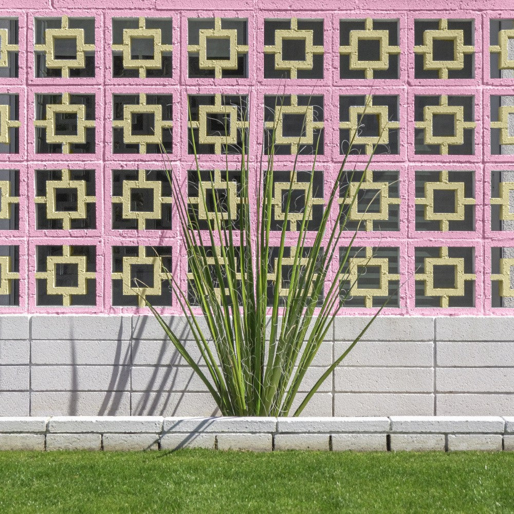 Mid-Century Breeze Block Wall with Cactus in Palm Springs, California