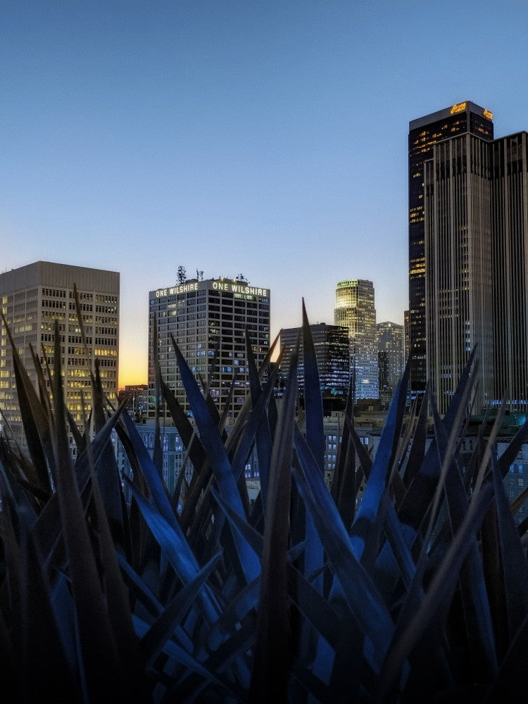 Stunning Los Angeles Skyline at Dusk