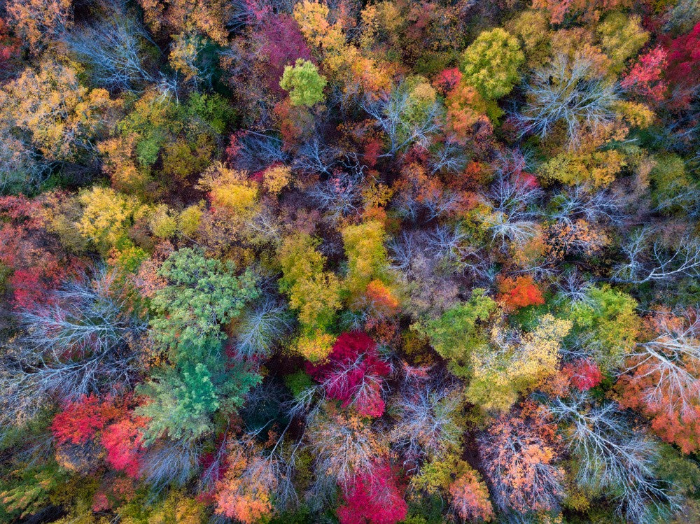 Natural color palette