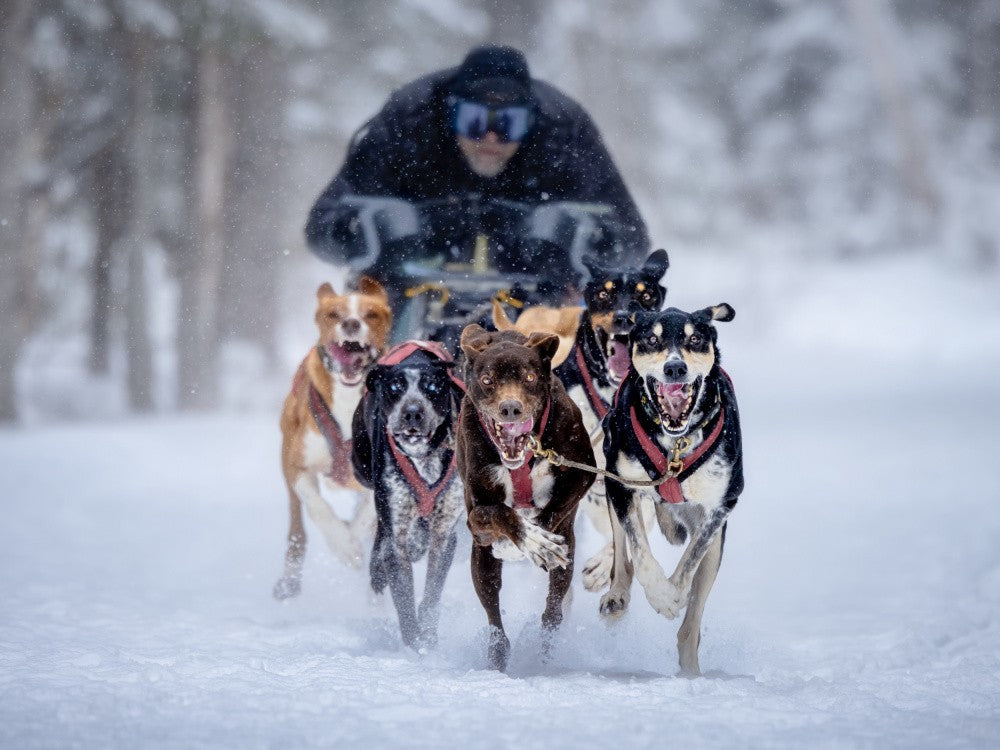Running as One