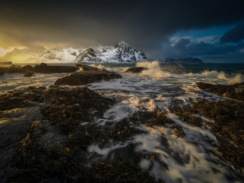 lofoten tide