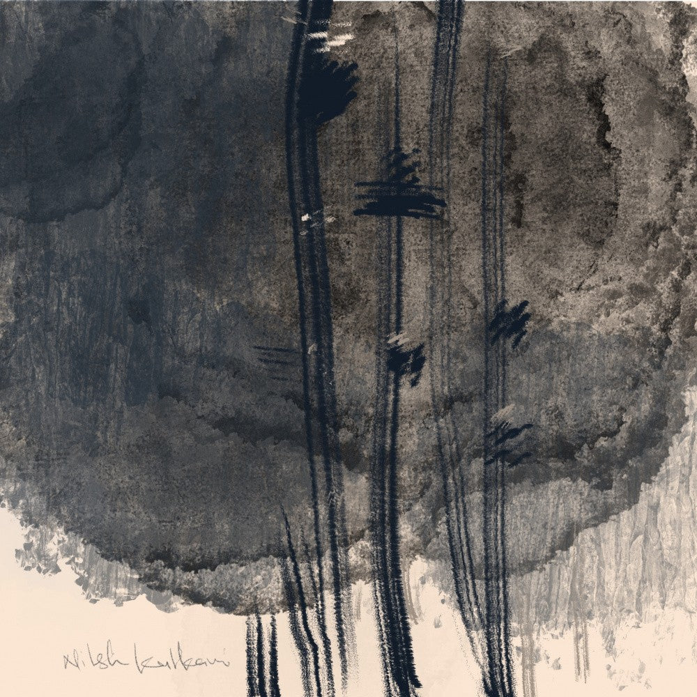 Cloudy Forest Veil