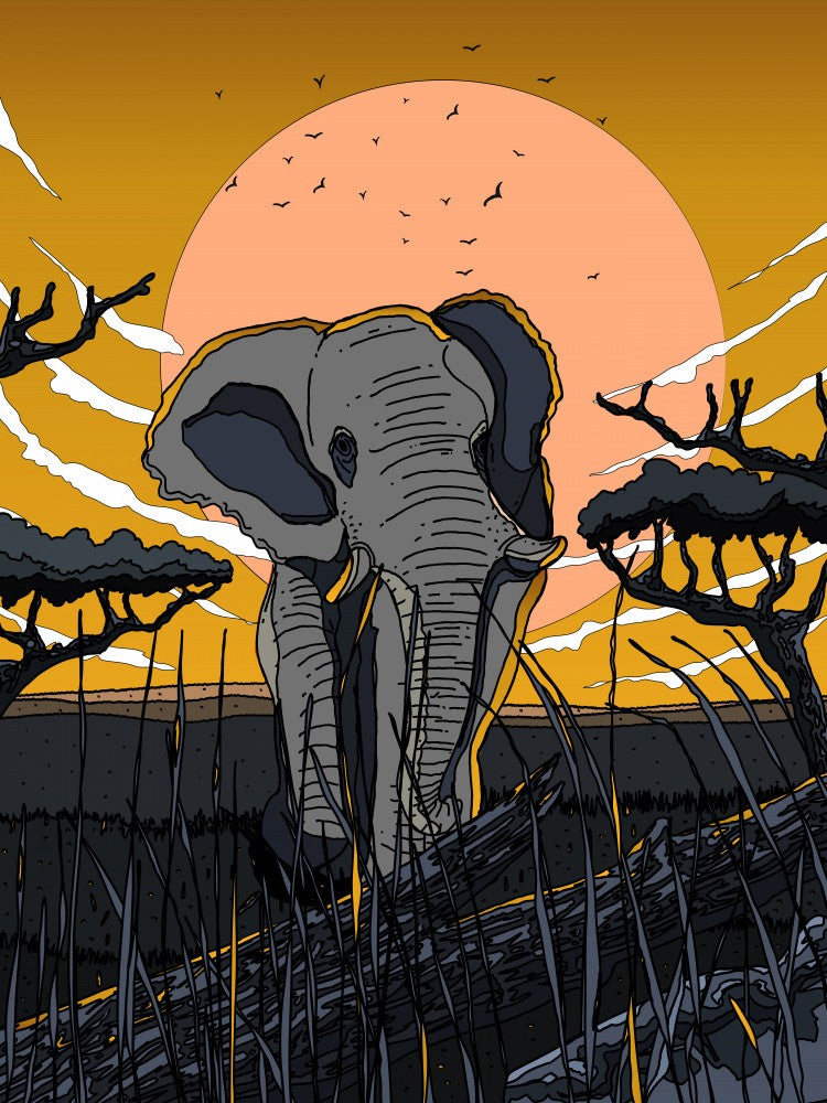 Elephant at Sunset