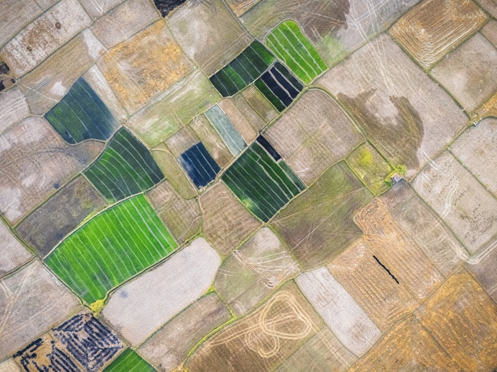Pattern of fields