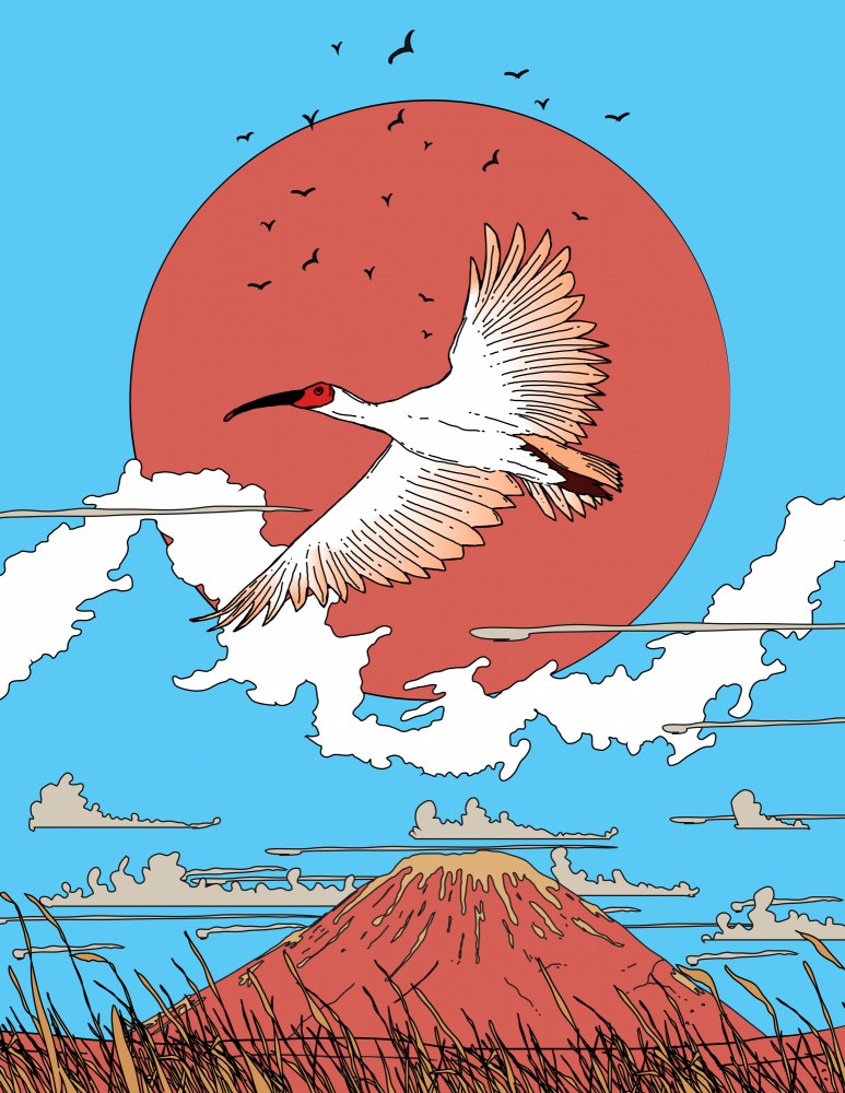 Majestic Bird in Flight