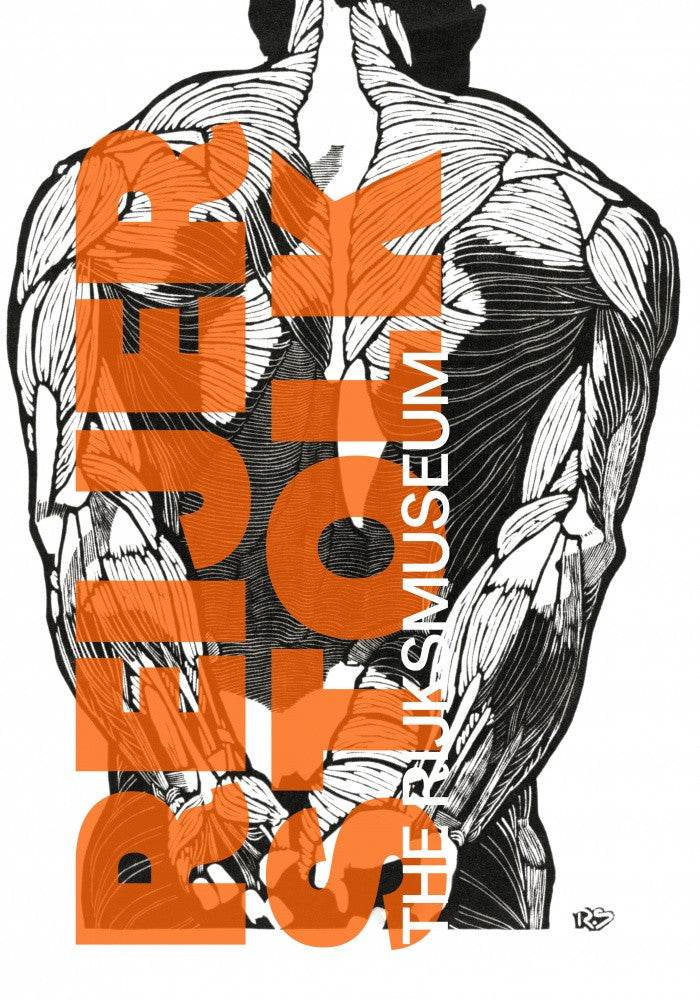 Anatomy Lines