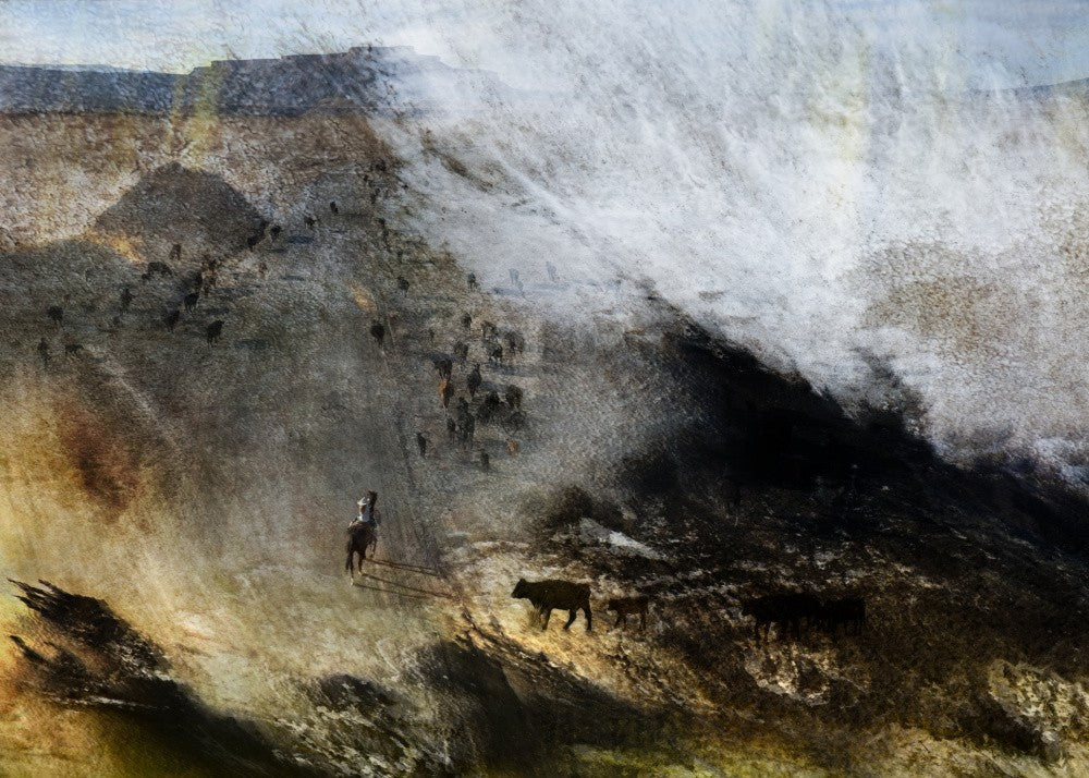 Migrations