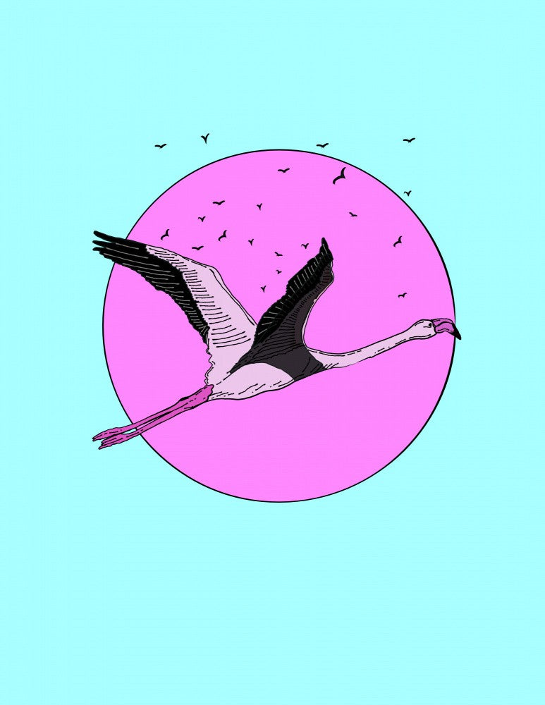 Flamingo in Flight