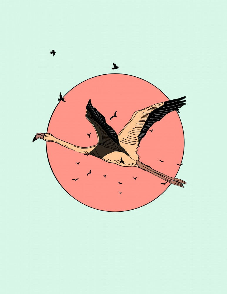 Flamingo In Flight