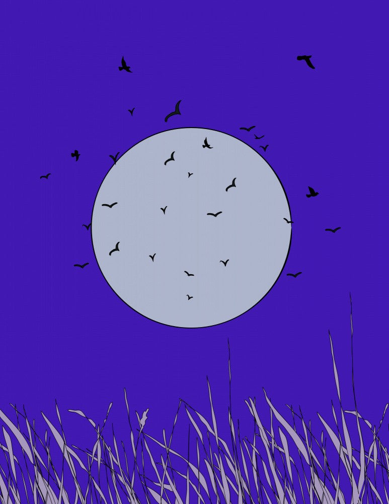 Bats in Moonlight