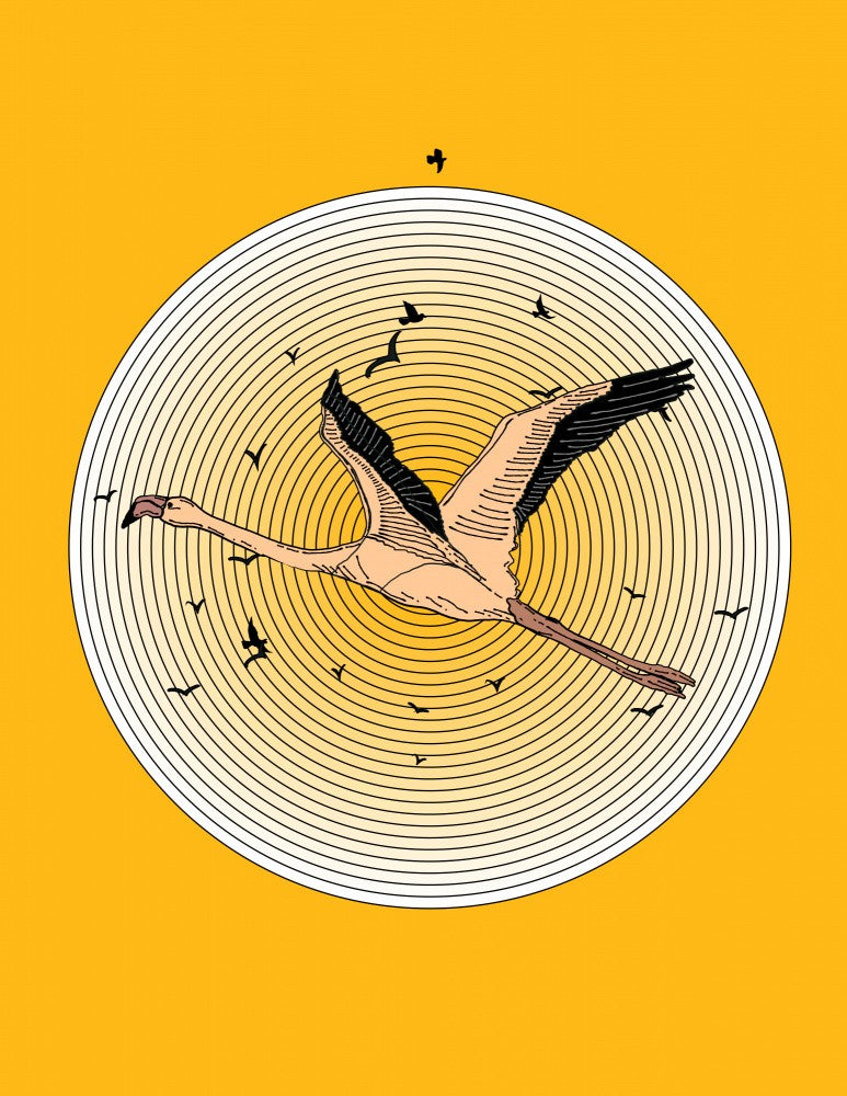 Flamingo in Flight