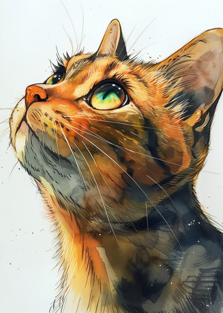 Rote Katze (45)