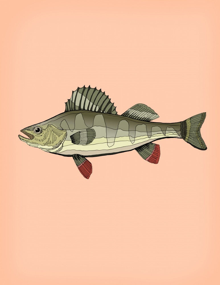Vintage Fish