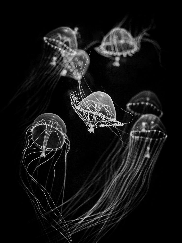 Swimming freely