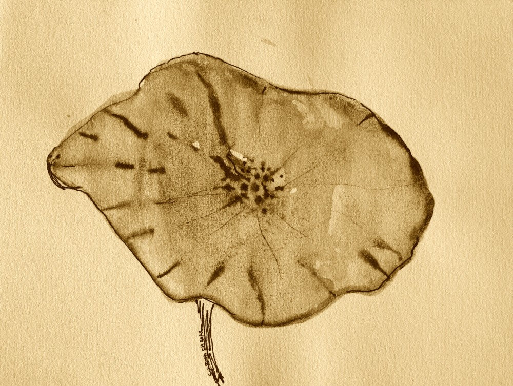 Delicate Sepia Bloom