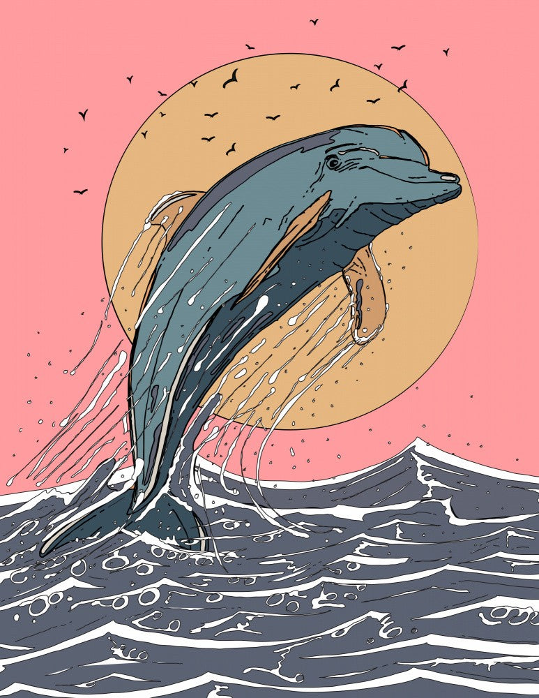 Jumping Dolphin