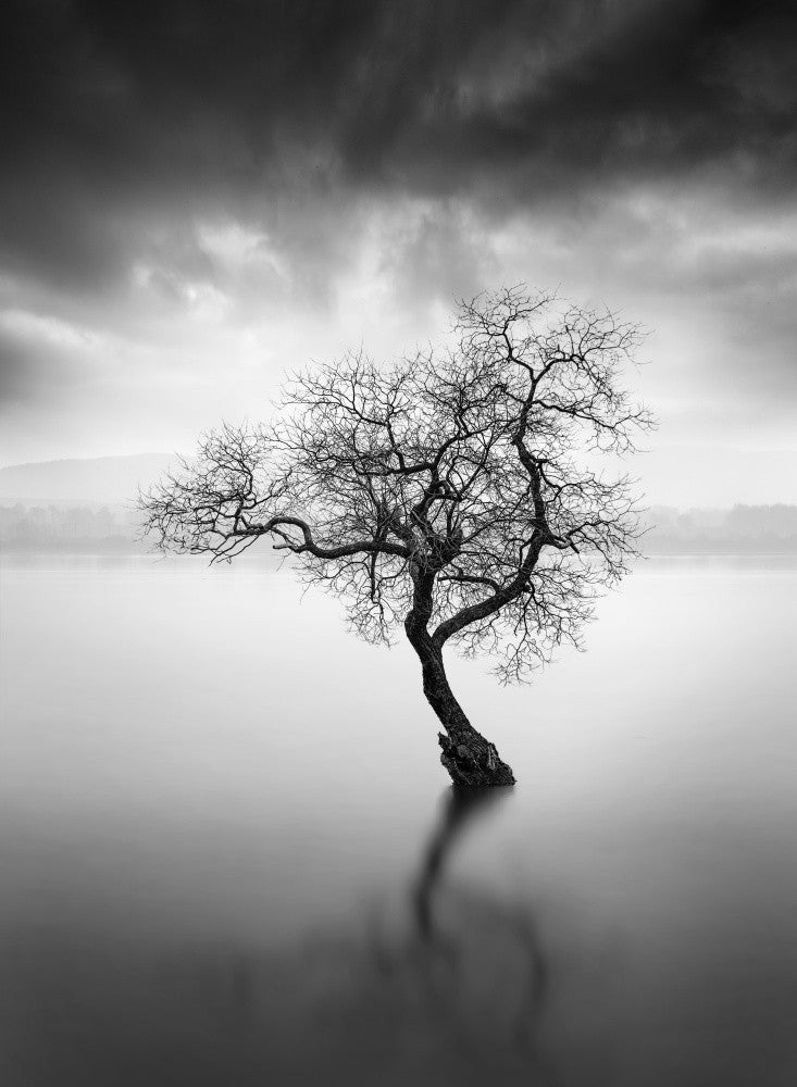 Melancholy