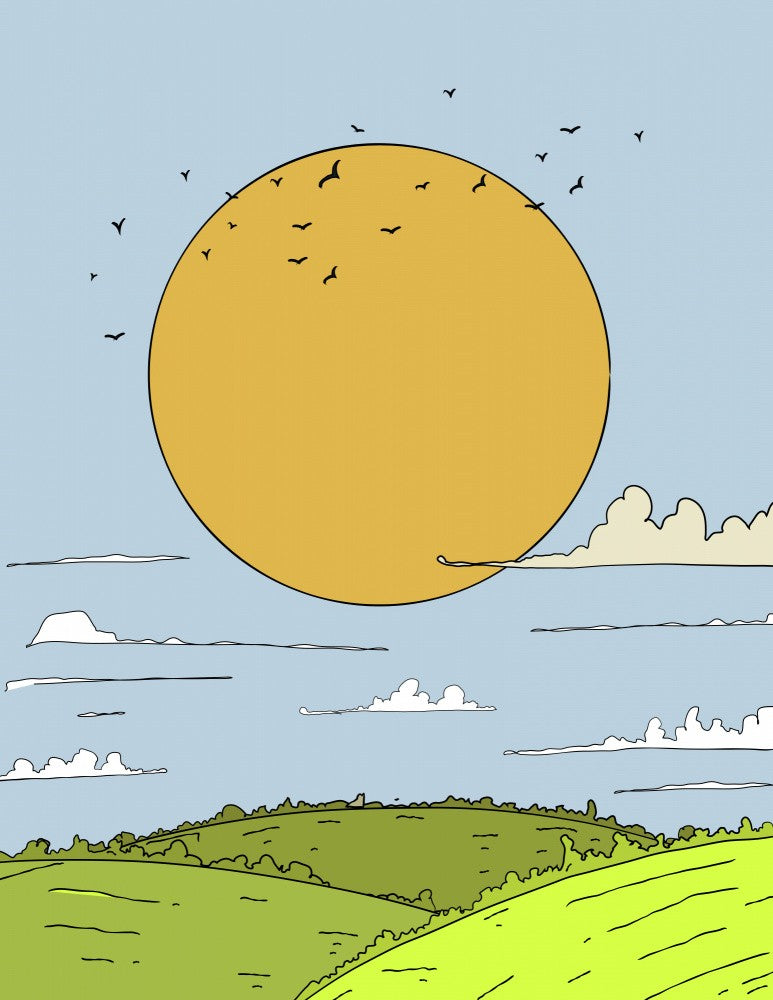 Summer In The Countryside