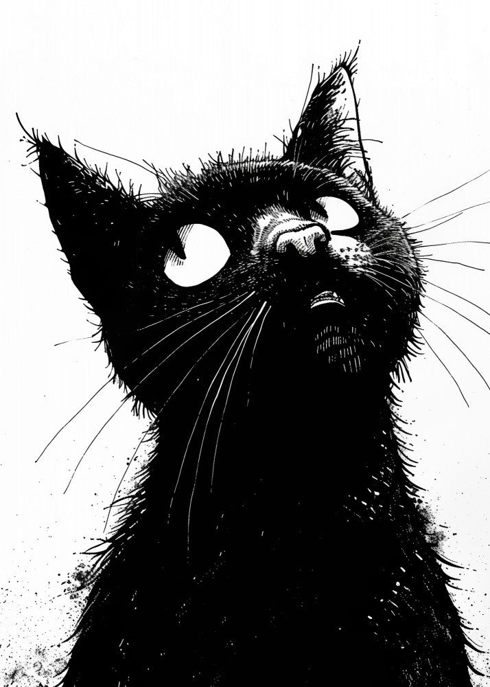 Black cat  (234)
