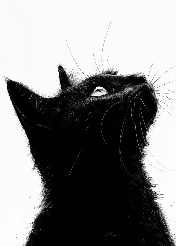Schwarze Katze (235)
