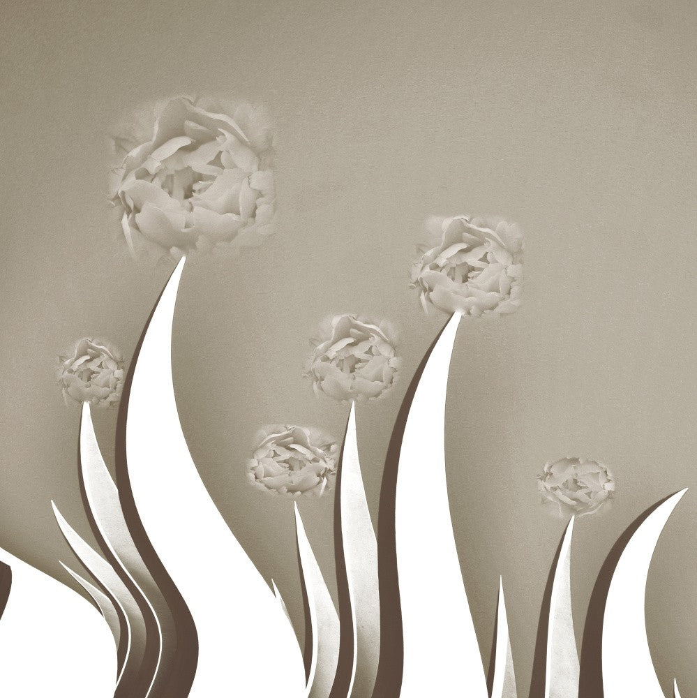 Elegant Peonies Petals