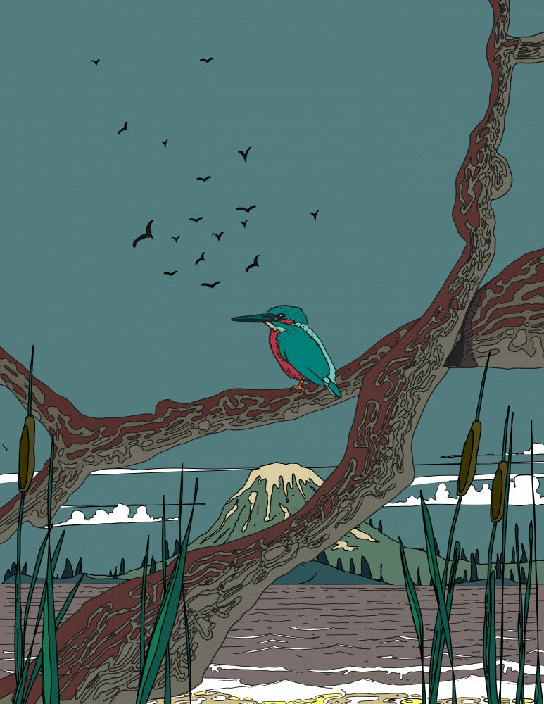 Serene Kingfisher View