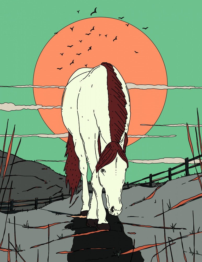 Portrayal Of A Horse
