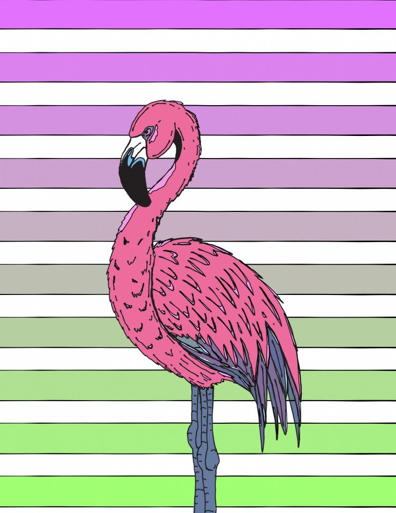 Vibrant Pink Feathers