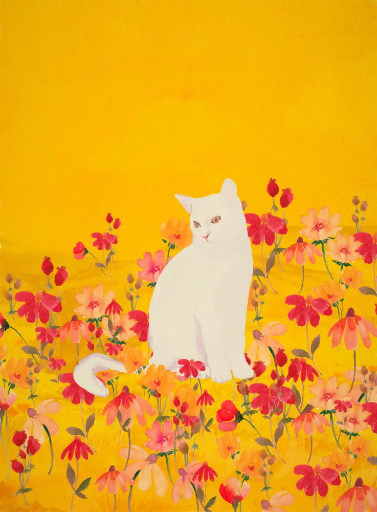 Cat In a Field of Flowers