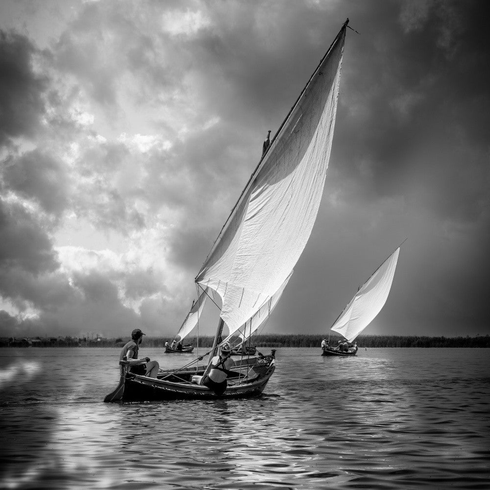 Sailboats and Light XX