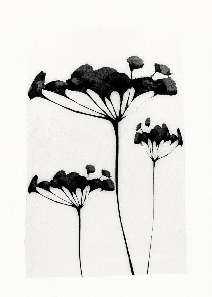 Abstract Art Minimal Plant