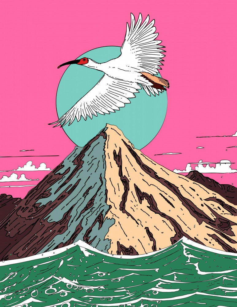 Mountain Flight