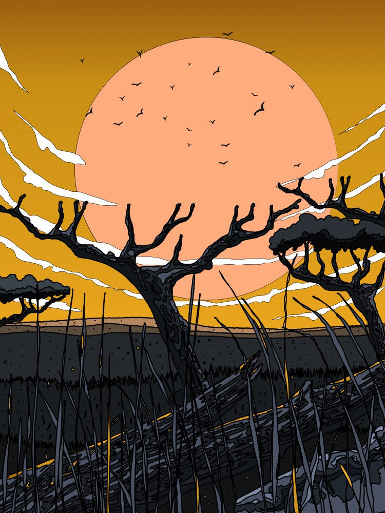 Sunset In The Savannah