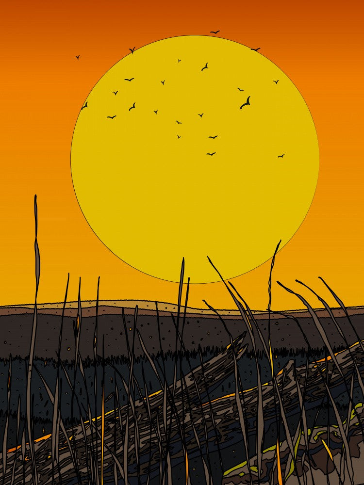 Vibrant Sunset With A Large Sun