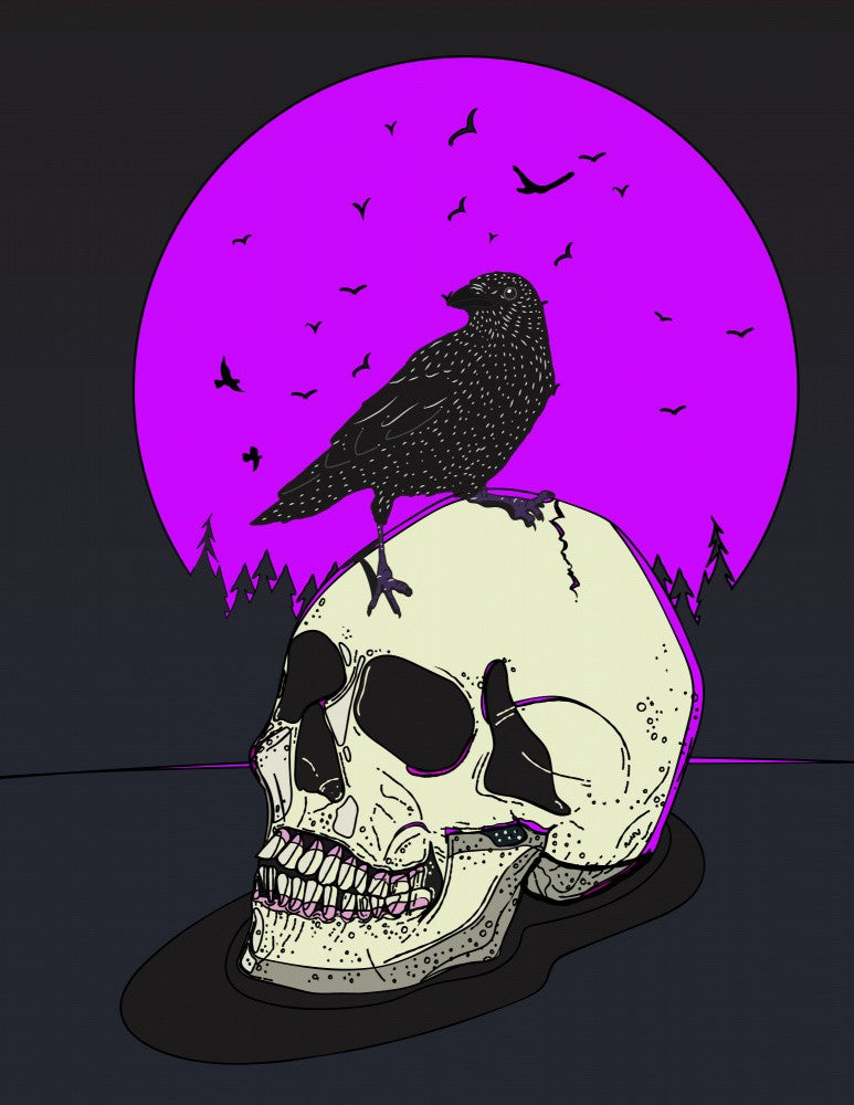 Skull And Crow