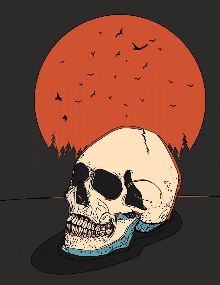 Skull And The Silence Of Wings