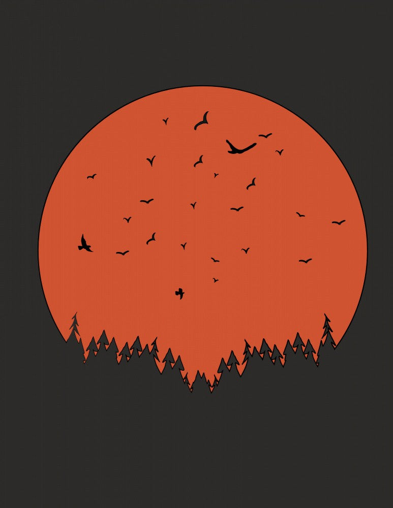 Birds Flying Against A Large Red Orange Sun