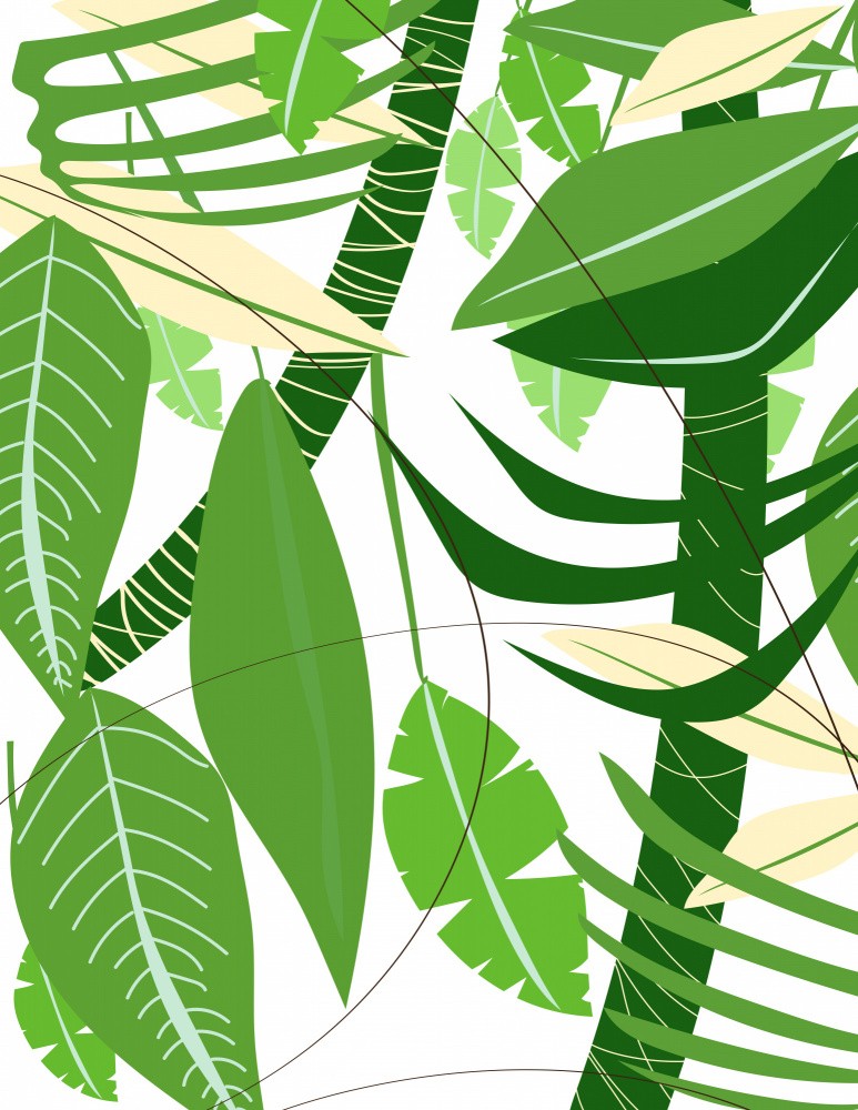 Lush Green Leaves And Tropical Foliage