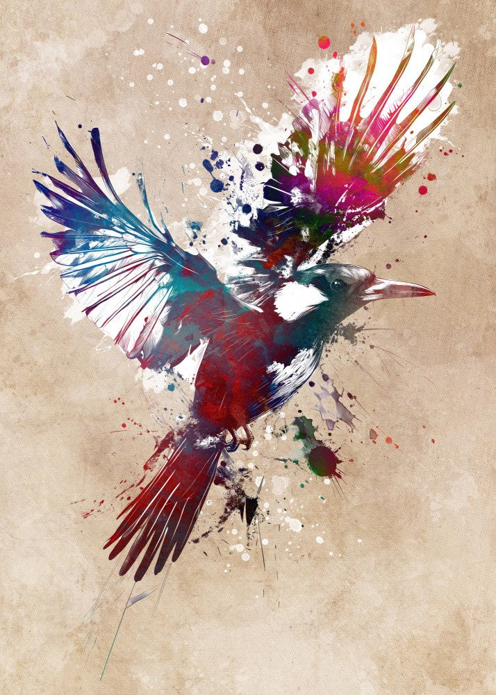 Bird Magpie