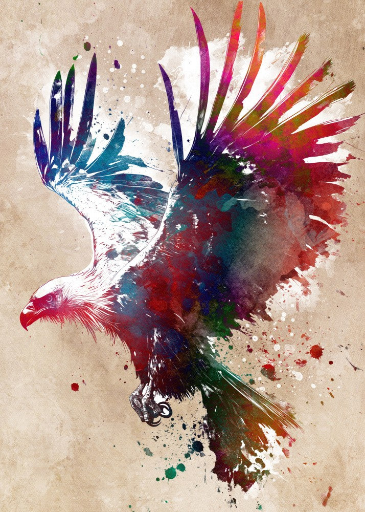 Bird Eagle