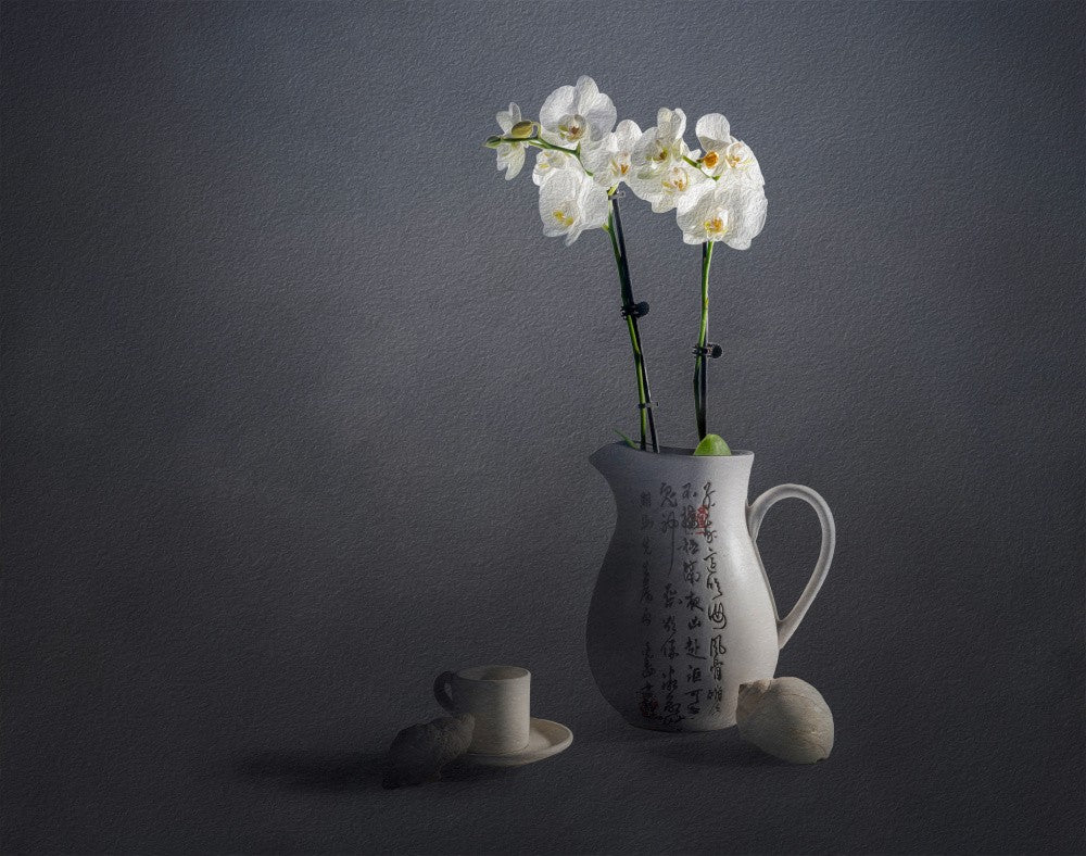 Weiße Orchidee