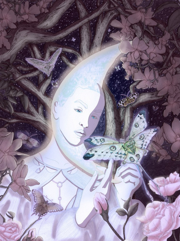 The Moon and Her Moths Color