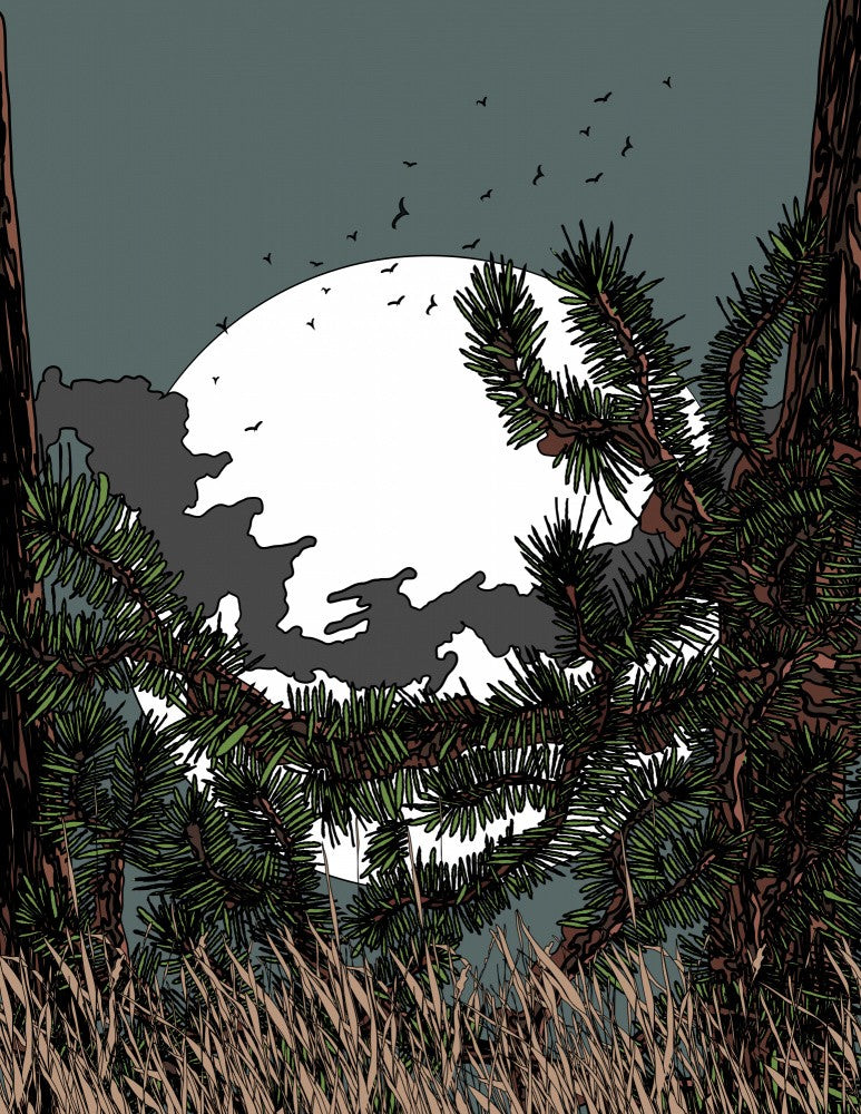 Moonlight in the Pine forest