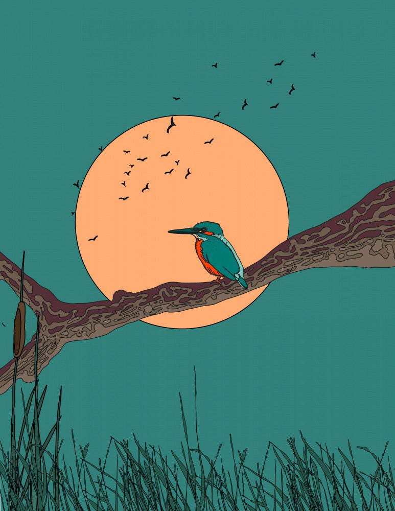 Kingfisher At Night