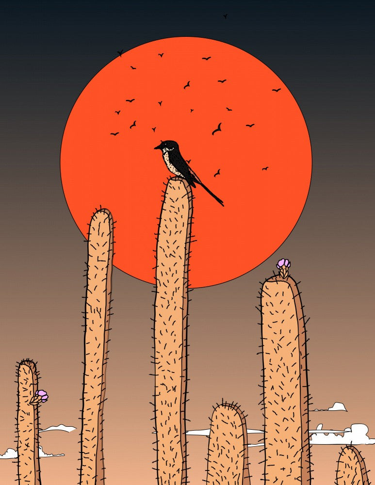 Bird in the Desert