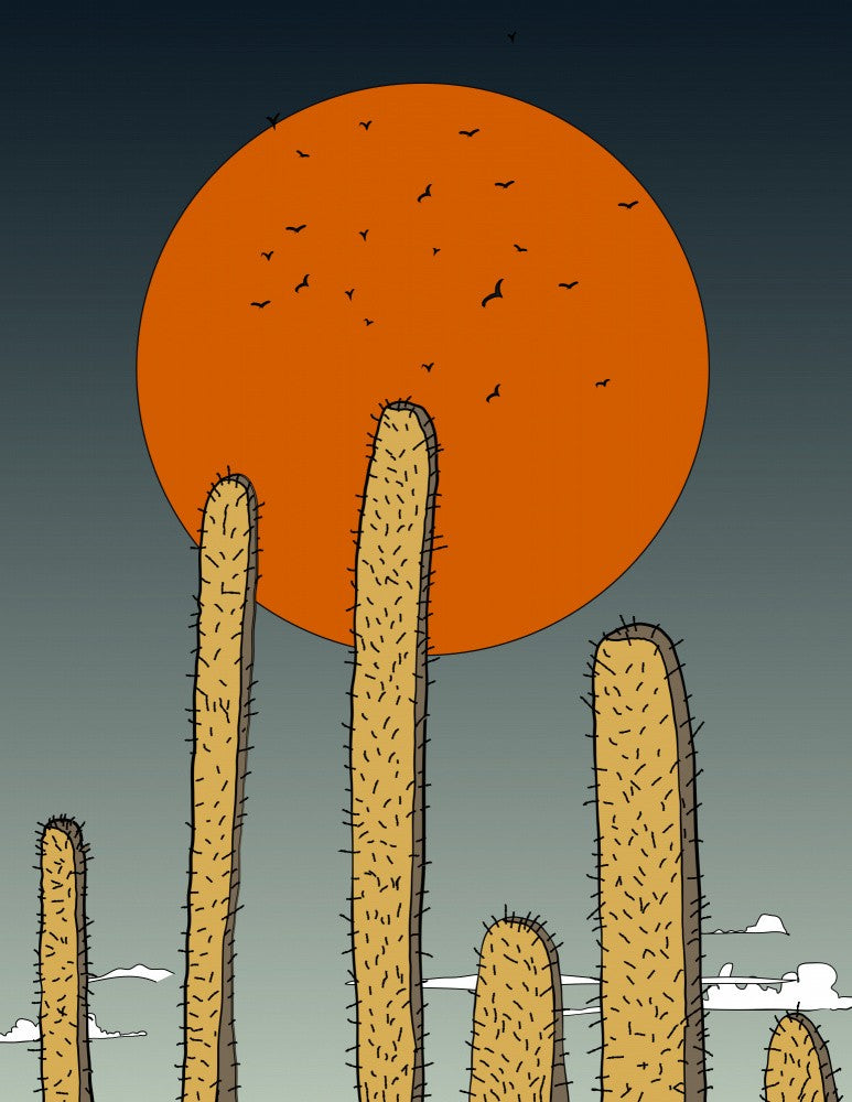 Desert Solstice