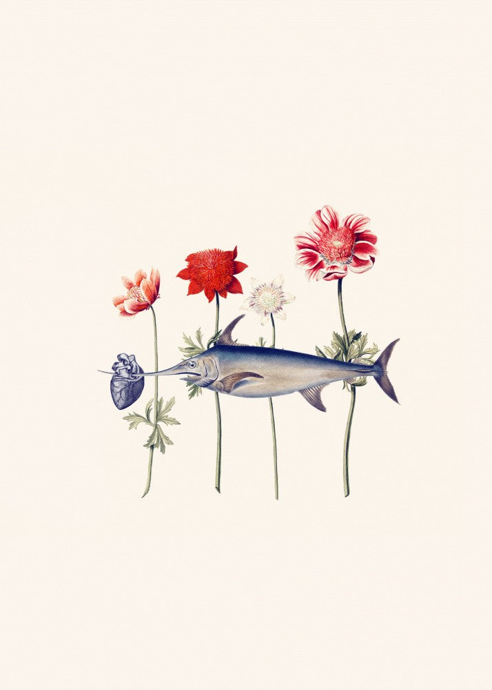 Poisson Cœur