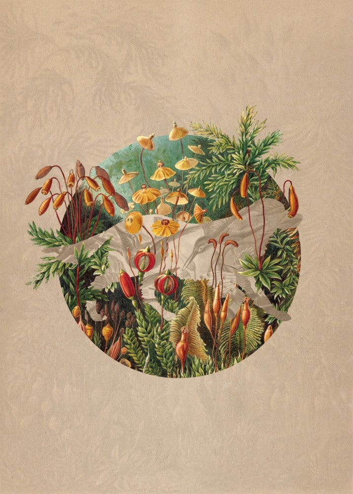 Umarmung der Natur