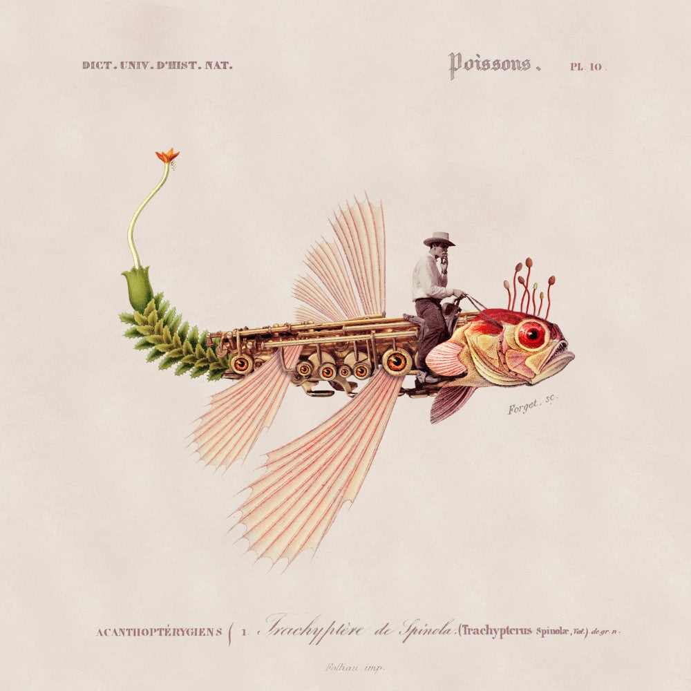 Steampunk Voyager