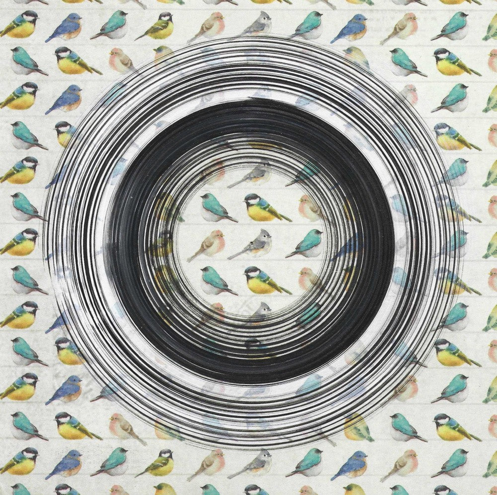 Colorful Birds In A Circle